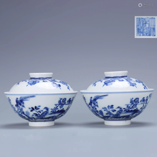 A Pair of Chinese Blue and White Flower&Bird Pattern