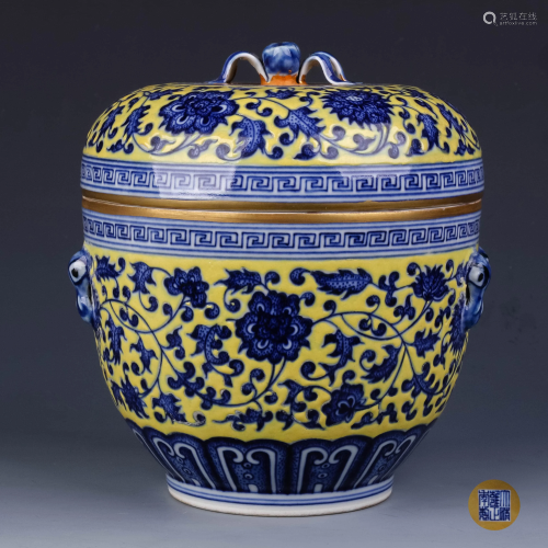 A Chinese Blue and White Floral Porcelain Jar with