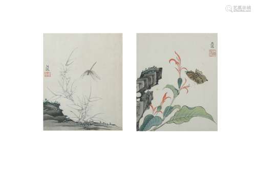 A PAIR OF CHINESE ALBUM LEAF PAINTINGS OF INSECTS.