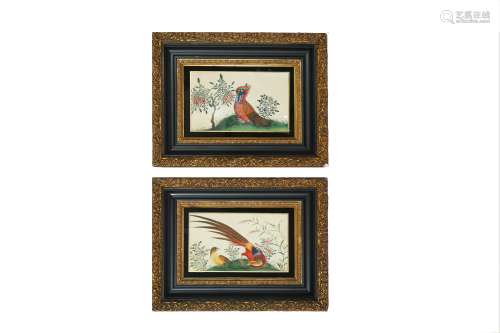 A PAIR OF CHINESE FRAMED BIRD PAINTINGS.