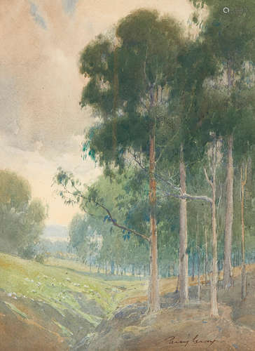 Percy Gray (1869-1952) Eucalyptus trees along a shallow ravine 15 x 11in framed 22 x 18in