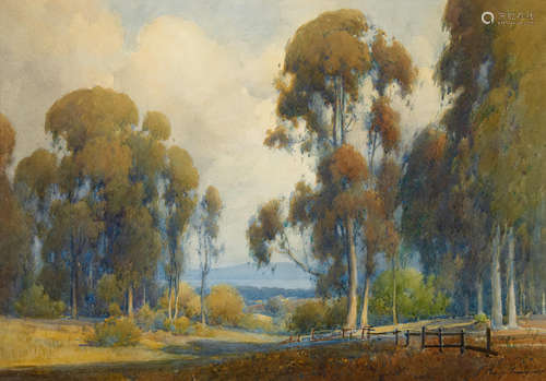 Percy Gray (1869-1952) Eucalyptus landscape 19 x 27in framed 27 x 35in