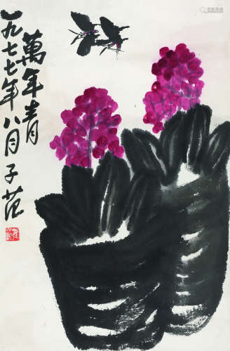 崔子范（1915-2011） 1977年作 万年青 立轴 纸本设色