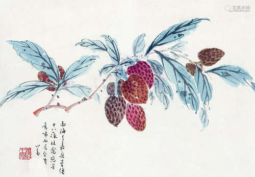 溥儒（1896-1963） 南海多佳荔 立轴 纸本设色