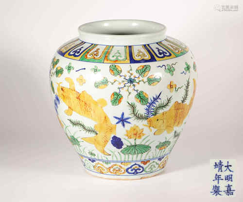 Three Colored Pot in Fish Grain from Ming明代素三彩魚紋大罐