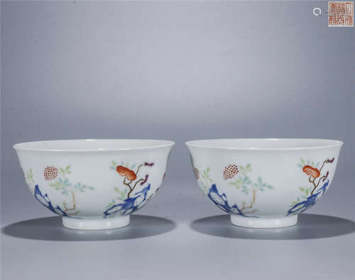 A pair of famille rose stone and flower drawing porcelain bowls, DAO GUANG mark