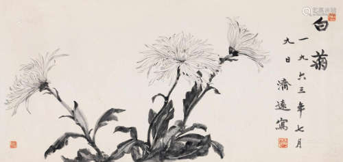 王济远 1963年作 白菊