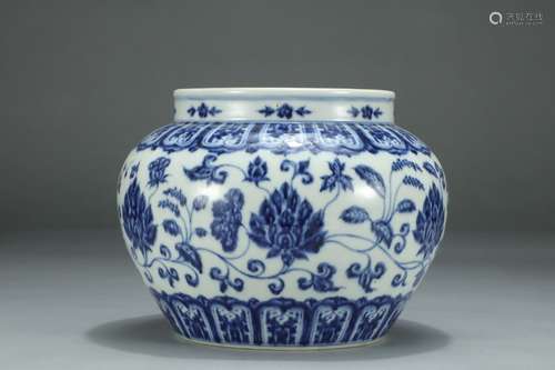 A Chinese Porcelain Bw Floral Painting Jar