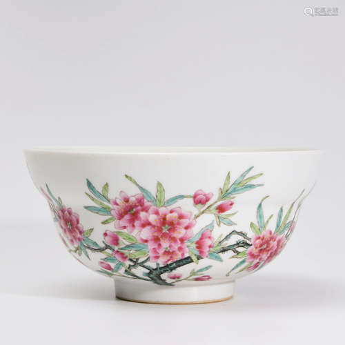 A Chinese Famille Rose Plum Blossom Painted Porcelain Bowl