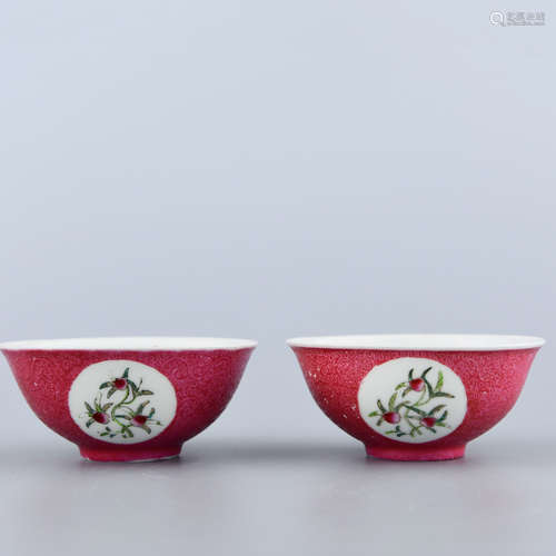 A Pair of Chinese Famille Rose Floral Porcelain Bowl