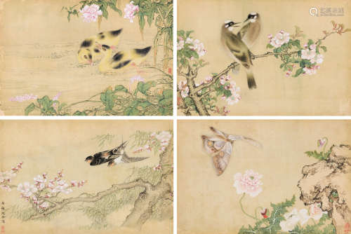 沈铨  1682～1760  花鸟 （四帧） 绘画 镜心  设色绢本