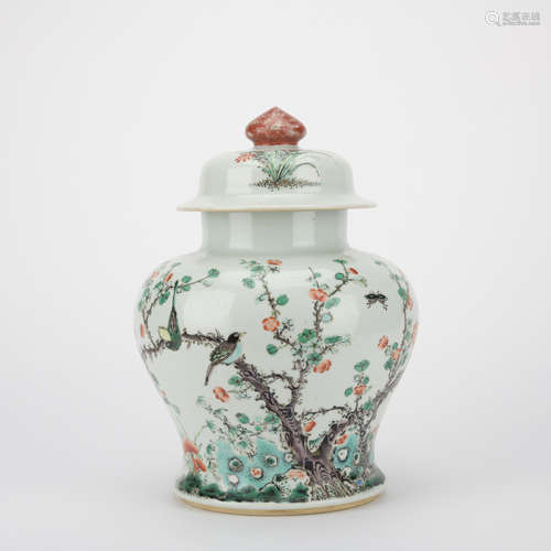 Qing dynasty famille rose jar with flowers and birds pattern