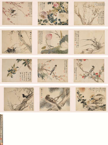 张乃耆 花卉十二帧图卷