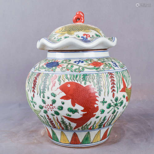 A Chinese Famille Verte Painted Porcelain Jar with Cover