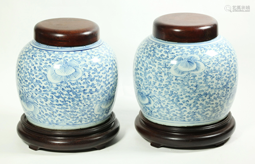 Pr Chinese Qing Blue & White Porcelain Ginger Jars