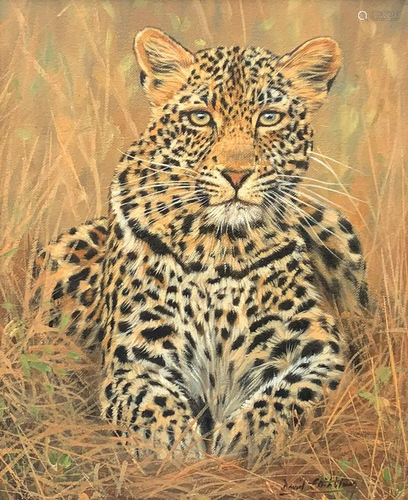 STRIBBLING PORTRAIT OF A LEOPARD