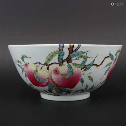 Qing dynasty famille-rose bowl