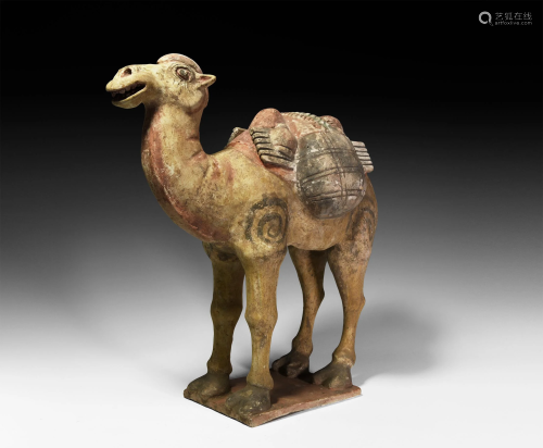 Chinese Tang Terracotta Camel