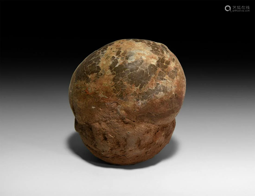 Fossil Hadrosaur Dinosaur Egg