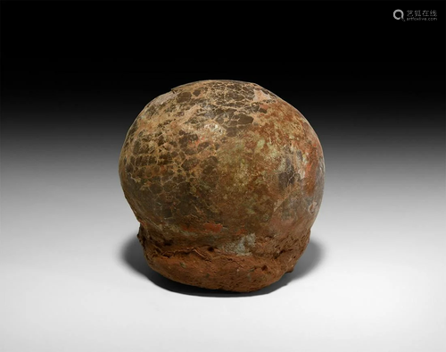 Fossil Hadrosaur Dinosaur Egg