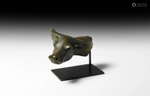 Chinese Ordos Head of a Bull