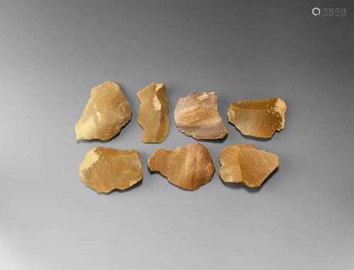 Stone Age Mousterian Neanderthal Tool Group