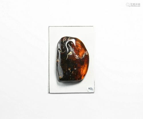 Amber with Insects