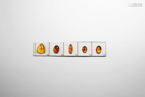 Amber Group with Insects