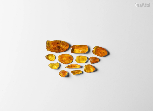 Insects in Baltic Amber Group