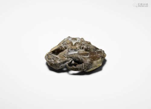 Complete Fossil Crab