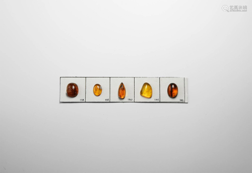 Amber with Insects