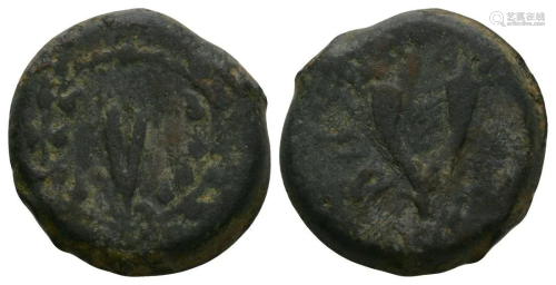 Judea - Antigonus II Mattathias - Cornucopiae Bronze