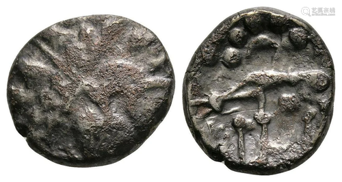 Iceni - Base Norfolk Wolf Stater