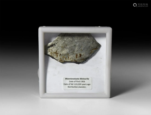 Muonionalusta Meteorite Slice