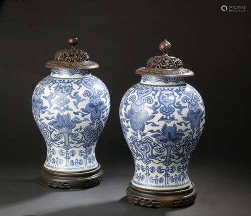 Pair of blue white porcelain vases China, 19th cen…