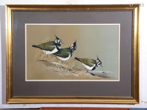 Terence James Bond (born 1946), Lapwings, watercolour, signed and dated 1975 lower right, 38 x 64cm