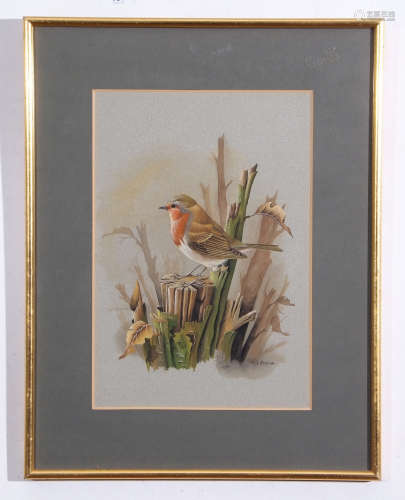 Terence James Bond (born 1946), Robin on a Branch, watercolour, signed lower right, 32 x 22cm