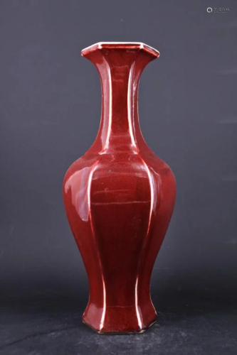 Large Qing Porcelain Red Glaze Vase