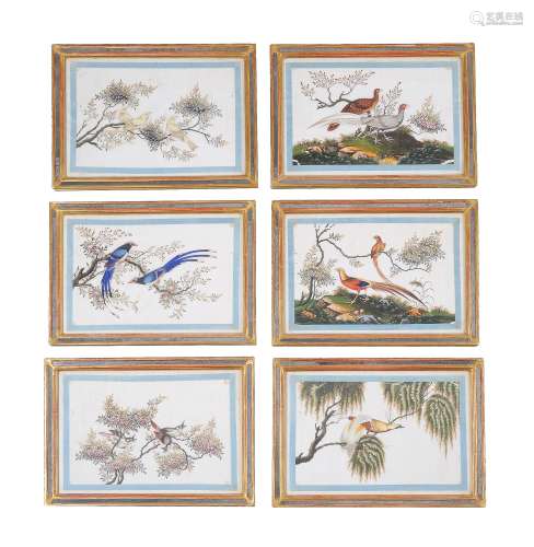 Twelve Chinese pith paper paintings of Birds