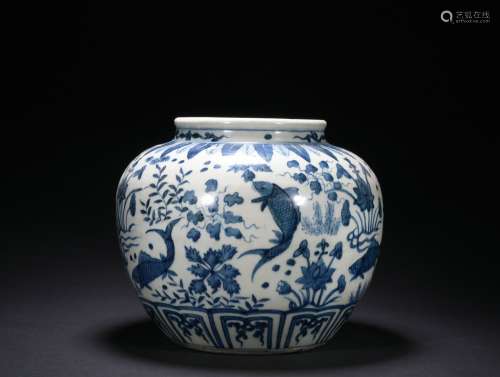 Qing dynasty blue and white jar with fish pattern