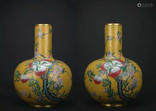 Qing dynasty cloisonne vase with flowers pattern 1*pair