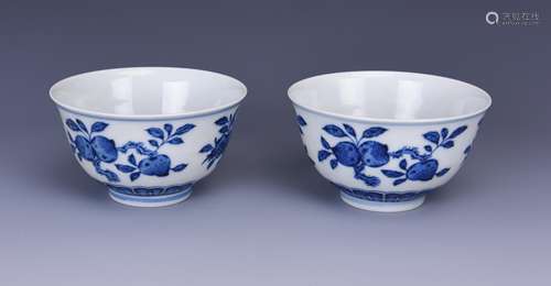 PAIR OF BLUE AND WHITE 'FRUITS' CUPS