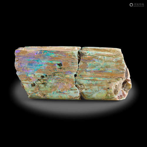 Opalized Limb Cast