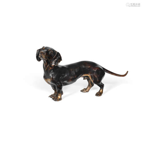 After Franz Bergman (Austrian, 1861-1936): A patinated bronze model of a daschund