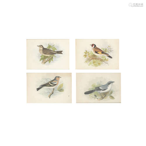 A set of twelve later framed 19th century coloured lithographic prints of native songsters