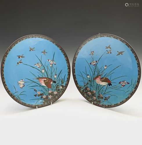 A pair of Japanese cloisonne chargers, Meiji Period, with birds amongst foilage, diameter 36.5cm.