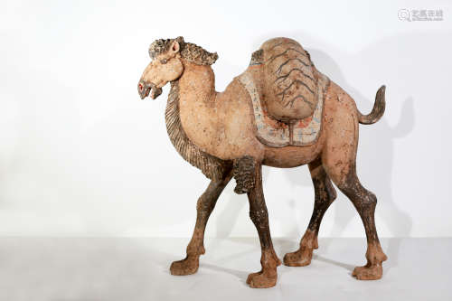 Chinese Exquisite Pottery Camel