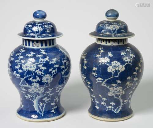 Paire de vases potiches en porcelaine bleue et bla…