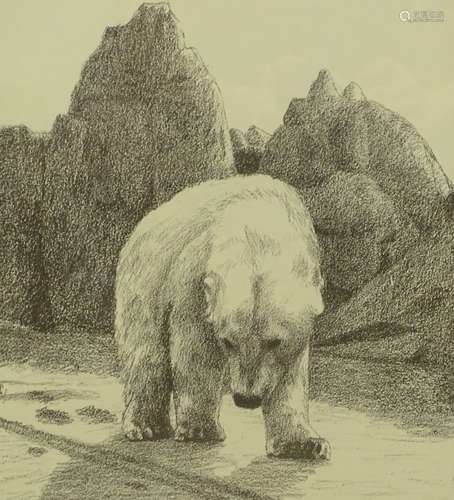 Fridjtof Nansen (1861-1930). Polar bear, artist signed print 1066/5000, 44cm x 35.5cm, J. Arthur Br