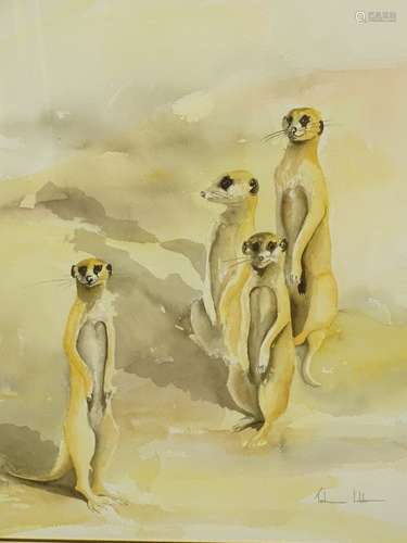 Tash Hofer (20thC). Meerkats, watercolour, signed, 66cm x 52cm.